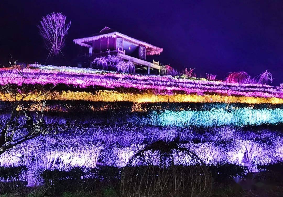 《繁花》爆火:神仙台词+时评解读,教你写进考试作文里