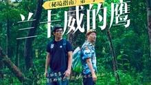 守望先锋电竞