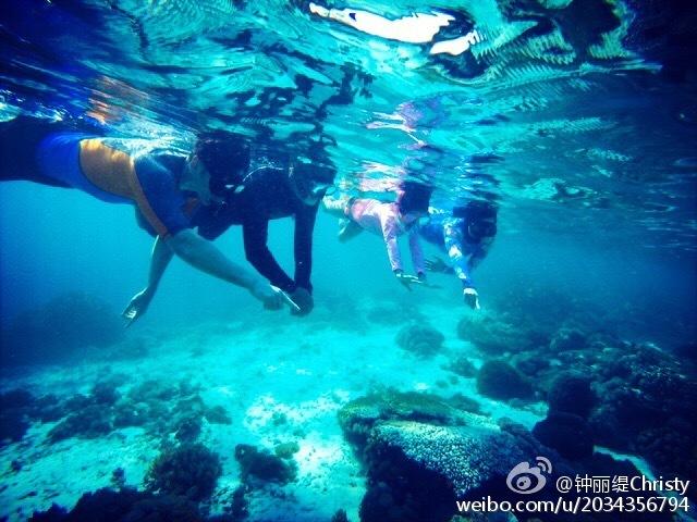 球球大作战下载最新版