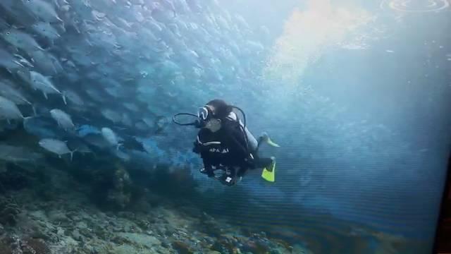 张朝阳物理学解释青海湖电池容量大,硅的加入起到关键作用?